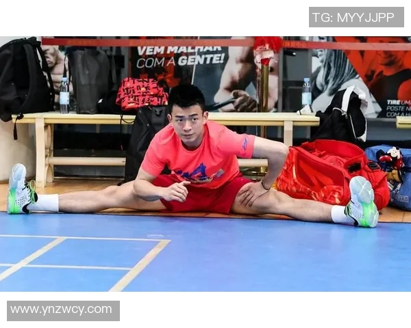 南京羽毛球队与深圳羽毛球队赛后复盘分析意识碰撞与战术对决